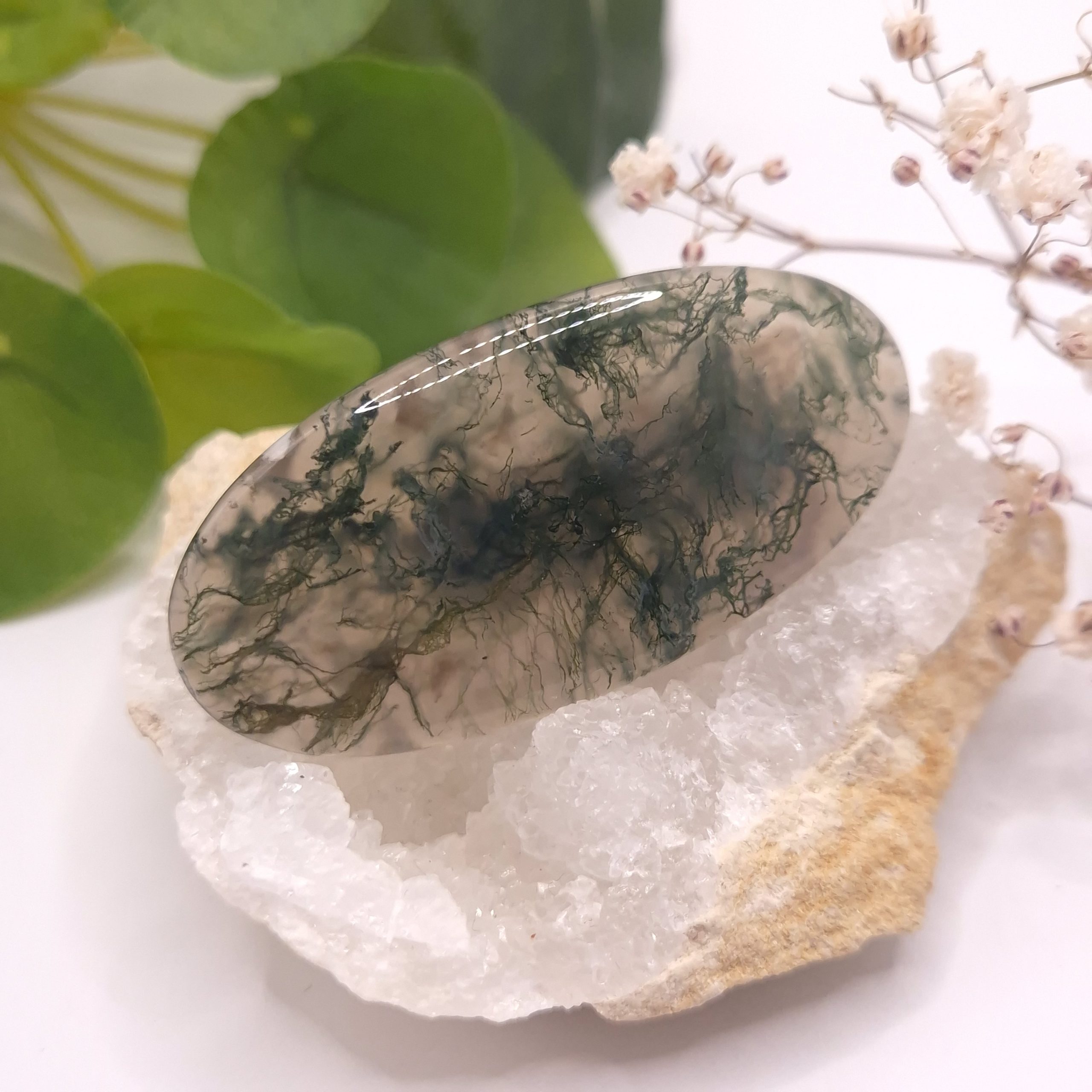 cabochon agate mousse