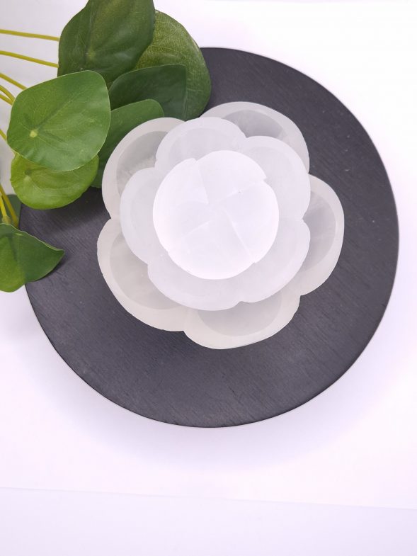 Fleur de selenite