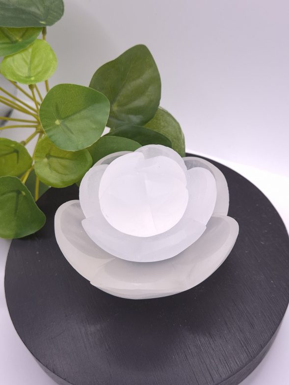 Fleur de selenite