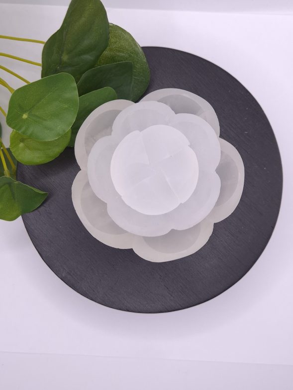 Fleur de selenite