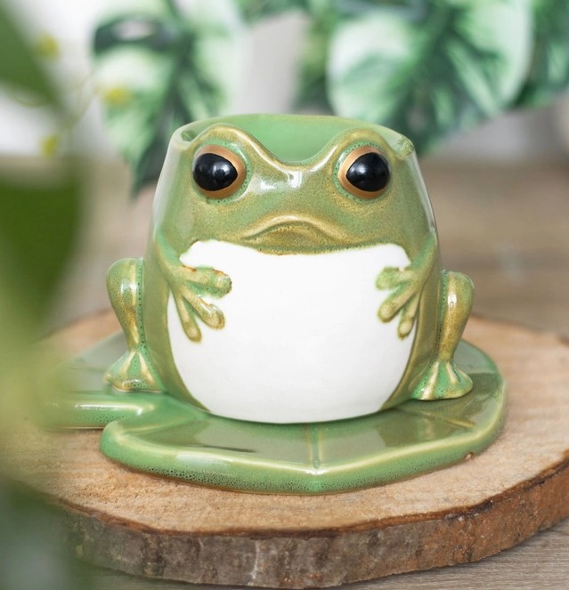 Brûle Parfum Grenouille – Image 3