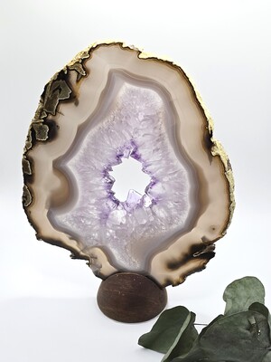Tranche d’Agate  Améthyste
