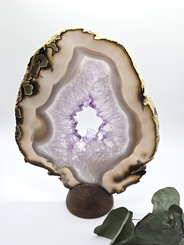 Tranche d’Agate  Améthyste