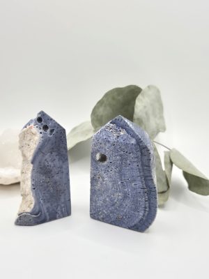 Corail bleu d’Indonésie
