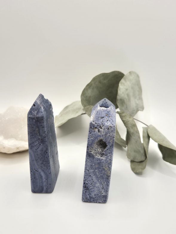 Corail bleu d’Indonésie – Image 5