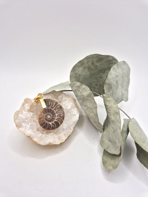 Pendentif Ammonite