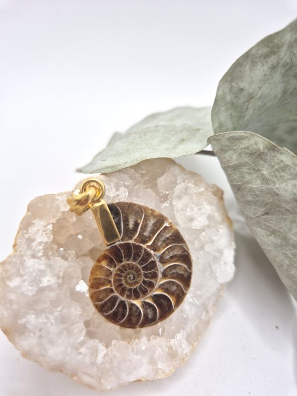 Pendentif Ammonite – Image 2