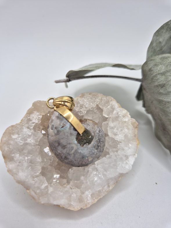 Pendentif Ammonite – Image 3