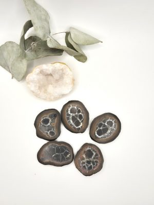 Septaria du Maroc