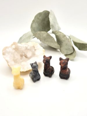 Mini lamas