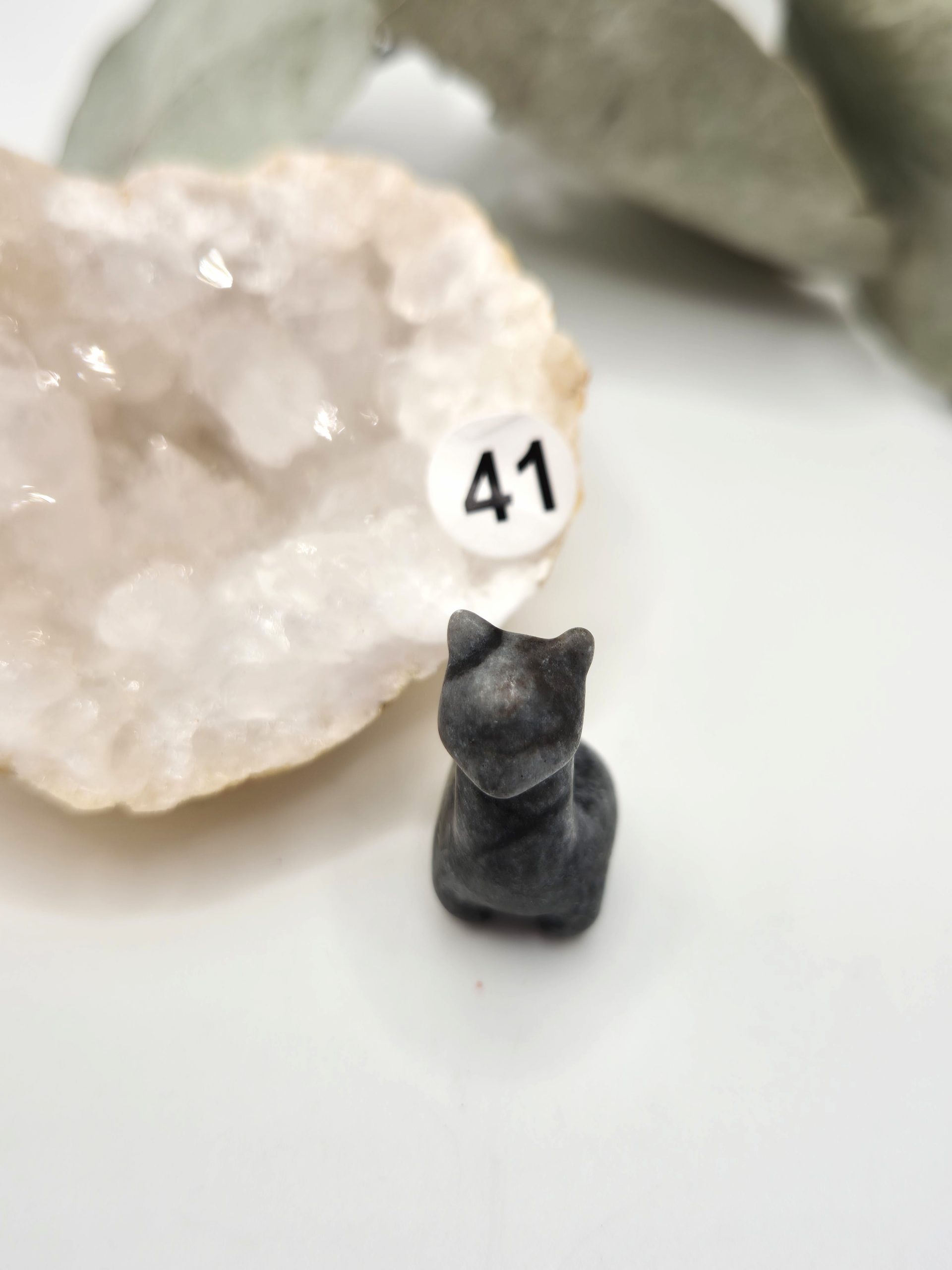 Mini lamas – Image 5