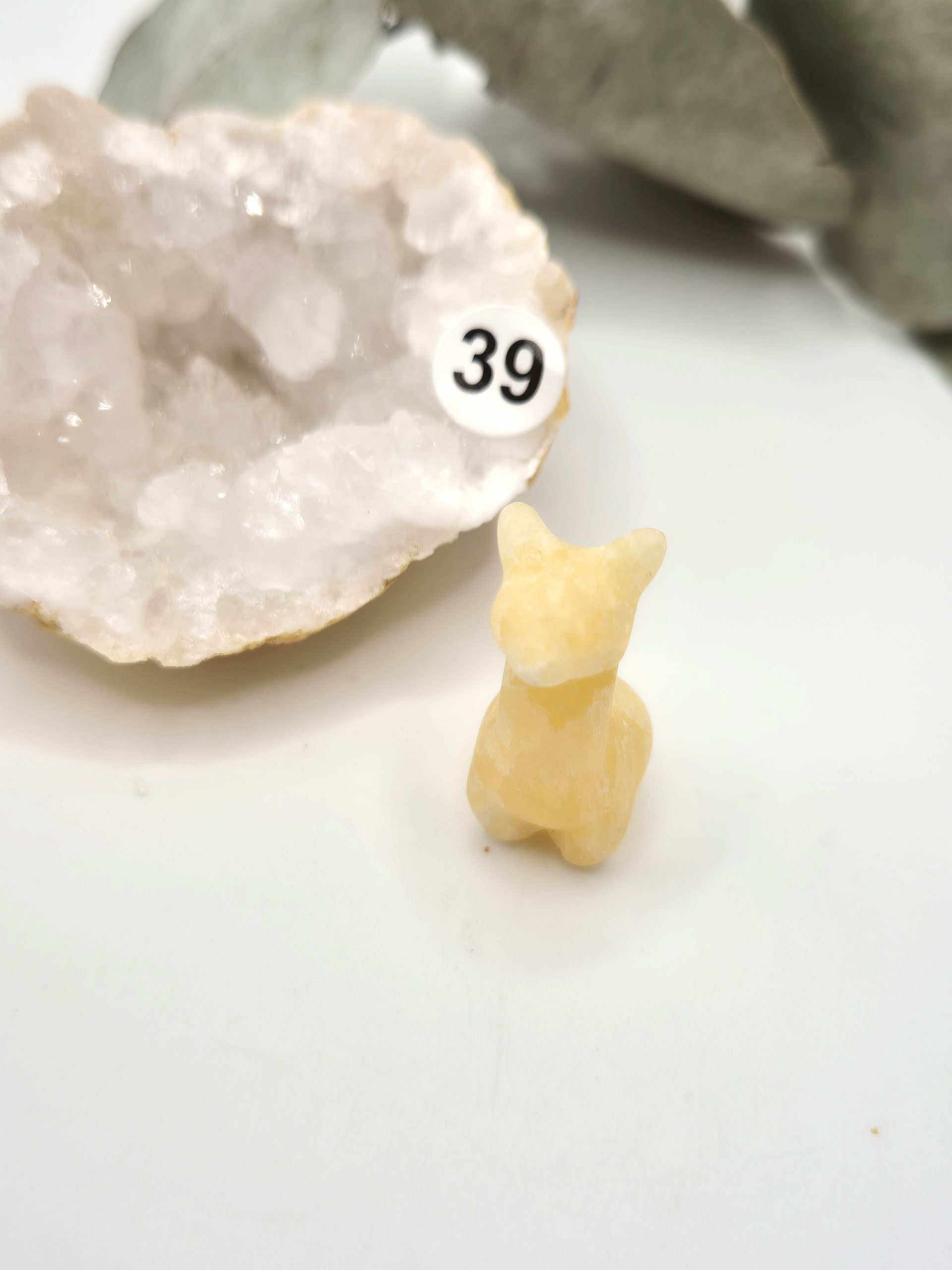 Mini lamas – Image 4