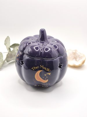 Brûleur Citrouille Violette