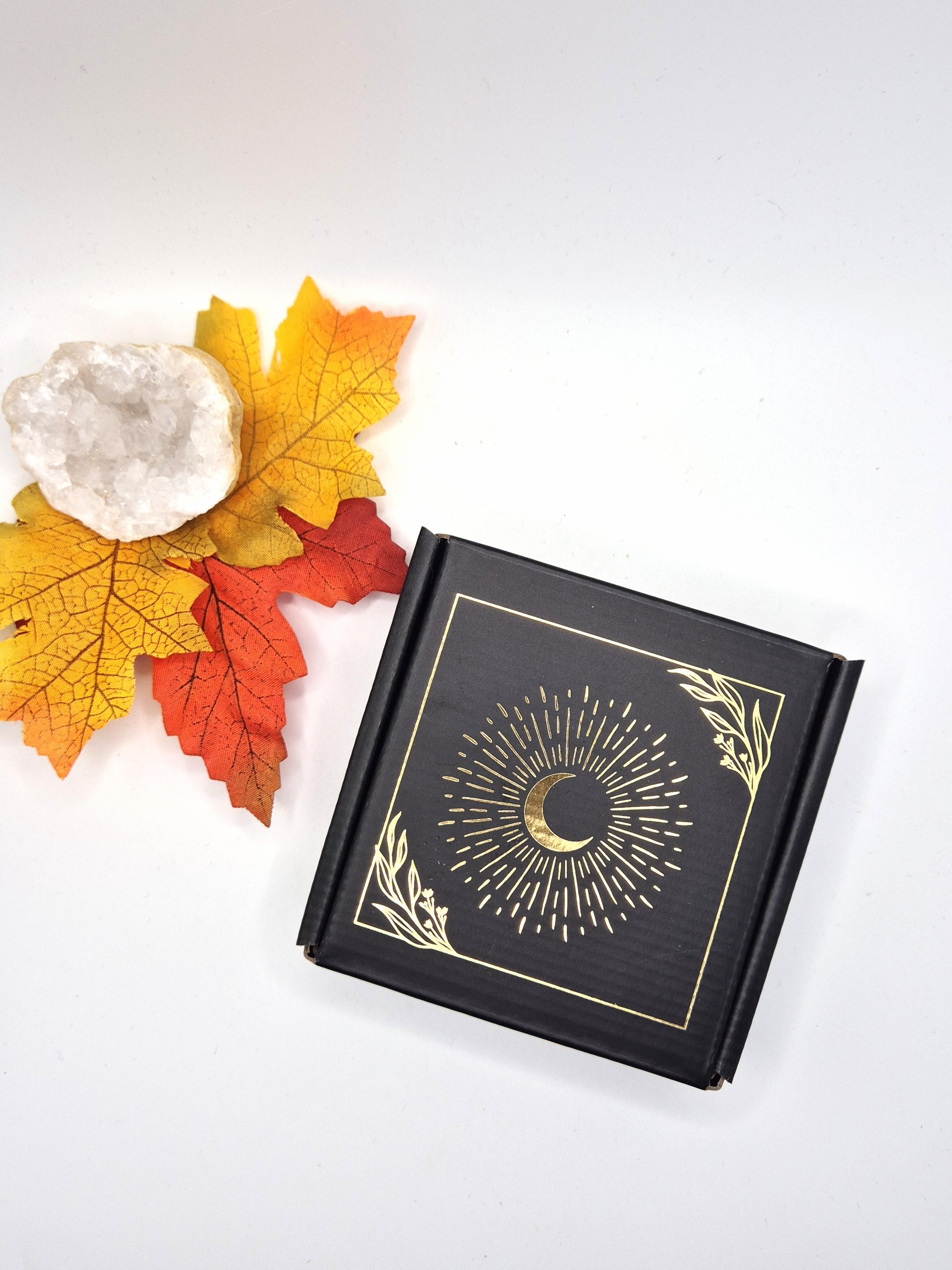 Coffret Fondant Edition Automnale – Image 2