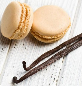 Fondant Macaron Vanille