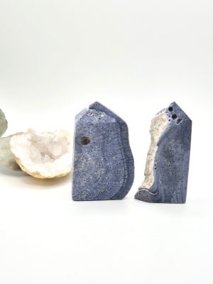 Corail Bleu Fossilisé