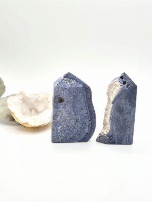 Corail Bleu Fossilisé