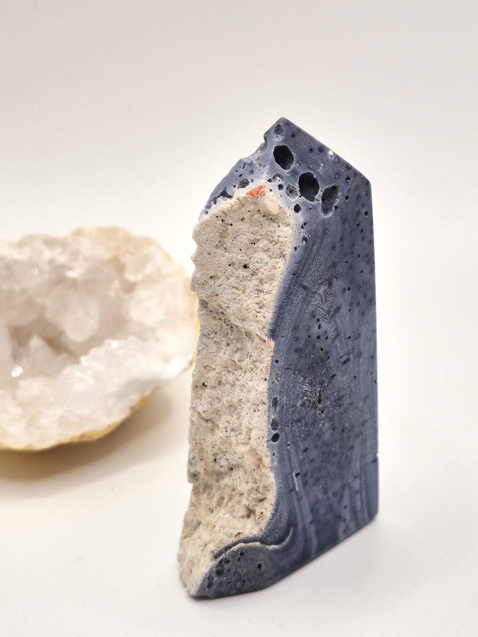 Corail Bleu Fossilisé – Image 4