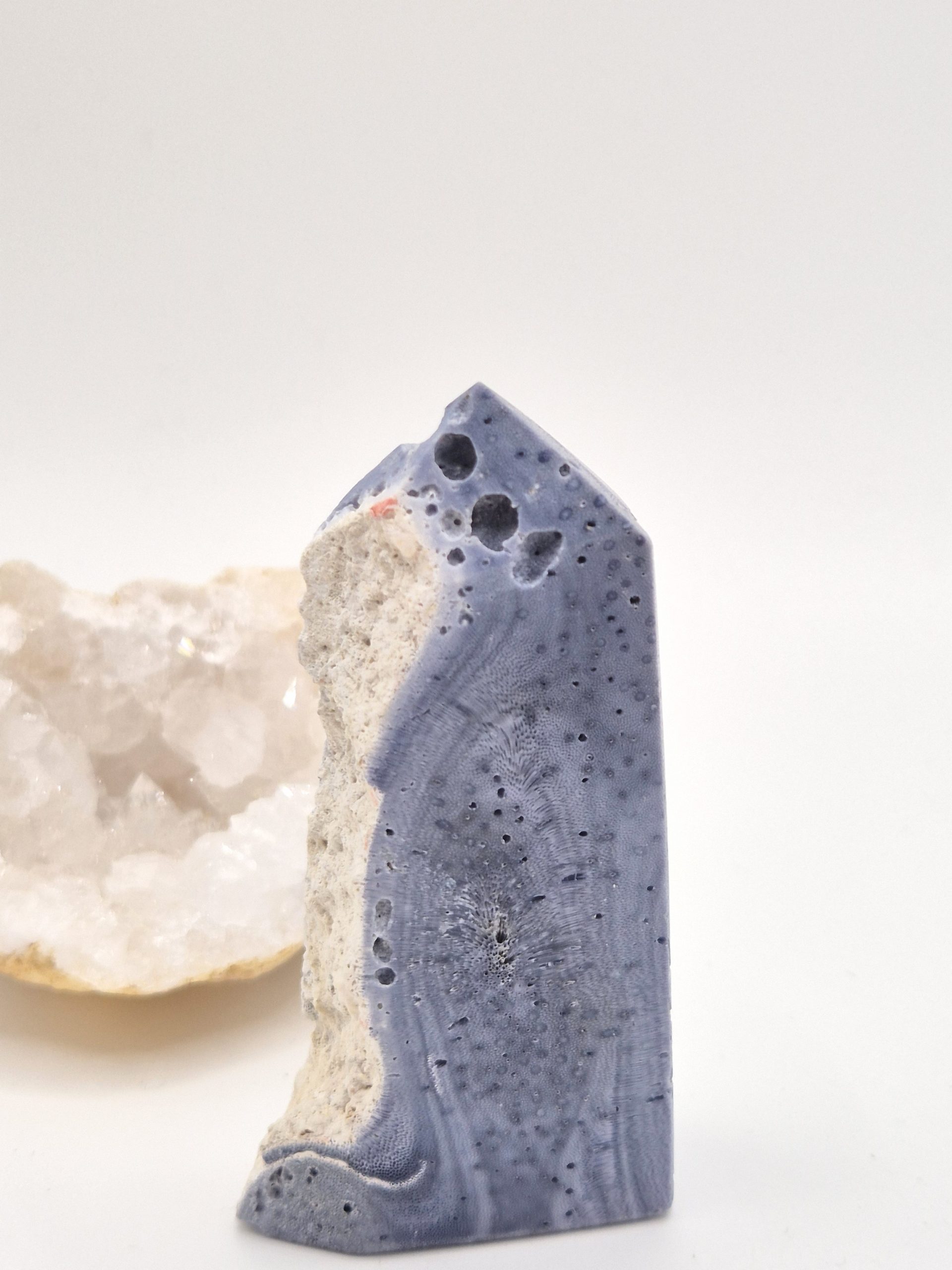 Corail Bleu Fossilisé – Image 2