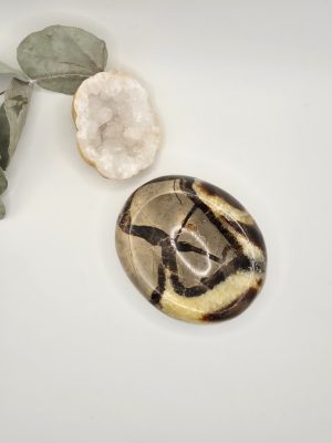 Vide-poche en septaria naturelle