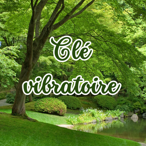 Clé vibratoire Ebook